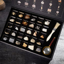 Educational Science Set NATURAL SPECIMENS COLLECTION KIT (30pcs) with Magnifier & Brush