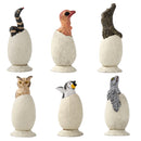 6pcs PVC Zoo Animal Eggs Figure Toys Wildlife Animal Egg Figurine Party Supplies