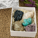 Mineral Collection Activity Kit & Rock, Educational Explore with Me Geology Series Rocks and Minerals Collection