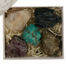 Mineral Collection Activity Kit & Rock, Educational Explore with Me Geology Series Rocks and Minerals Collection