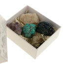 Mineral Collection Activity Kit & Rock, Educational Explore with Me Geology Series Rocks and Minerals Collection