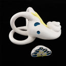Anatomical Ear Labyrinth Model for School Teaching Supplies
