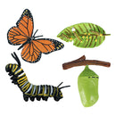 Realistic Nature Butterfly Bee Growth Child Education Learning Teaching Toys