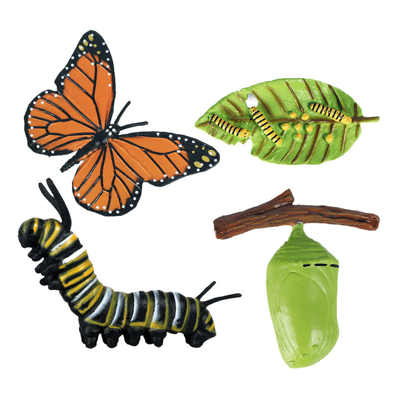 Realistic Nature Butterfly Bee Growth Child Education Learning Teaching Toys