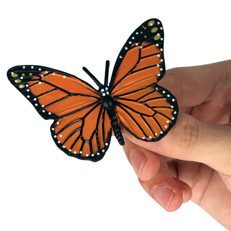Realistic Nature Butterfly Bee Growth Child Education Learning Teaching Toys