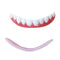 Upper And Lower Teeth Simulation Braces
