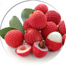 Egrow8Pcs/Bag Litchi Seeds Summer Delicious Fruit Litchi Seeds Nutritious and Delicious Fruit Seeds
