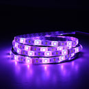 5M 48W SMD5050 RGBW Waterproof Smart Wifi Alexa Google APP Control LED Strip Lights EU US Plug DC12V