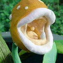 Egrow 100PCS/Pack Slurperon Seeds Succulent Insect Catching Plant Enchantress Carnivorous Plant Desk Pot Bonsai Seedsplants Slurperon Plant Flowers