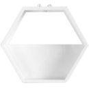 Handmade Acrylic Chlorophytum Flower Pot Scindapsus Hexagon Hanging Wall Decoration