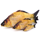 Pet Cat Toys Cat Kitten Cushion Bite Chew Pillow Simulation Cotton Stuffed Fish Mint Pet Toys