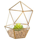 Clear Glass Faceted Geometric Terrarium Succulent Plant Tabletop Box Art Decor Wedding Favor