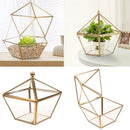 Clear Glass Faceted Geometric Terrarium Succulent Plant Tabletop Box Art Decor Wedding Favor