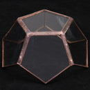 Open Clear Glass Geometric Terrarium Tabletop Succulent Indoor Plants Container Table Vase