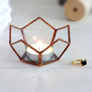 Open Clear Glass Geometric Terrarium Tabletop Succulent Indoor Plants Container Table Vase