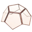 Open Clear Glass Geometric Terrarium Tabletop Succulent Indoor Plants Container Table Vase