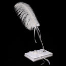 White Feather Quill Wedding Party Signature Pen Guestbook Signing Pen with Flower Ribbon Holder Set Anniversary Shower