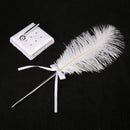 Feather Signing Pen & Pen Holder Set for Wedding Party Guest Signature