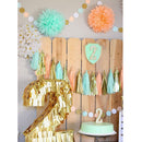 Set of 20pcs Tissue Paper Flowers Pom Poms Tassels Paper Garland Party Decora