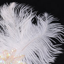 Indian Style White Feather Sequins Fascinator 1920s Flapper Headpiece Wedding Bridal Headband Great Gatsby Costume Accessory