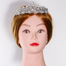 Wedding Bridal Bridesmaid Alloy Crystal Rhinestones Artificial Pearls Charms Crown Head Decor Jewelry Headband Tiara Silver