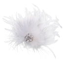 Feather Hair Fascinator Crystal Headpiece Ascot Race Hair clips Pin Jewelry