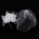 Vintage Women's White Birdcage Veil with Feather Fascinator Wedding/Tea Party/Church