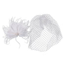 Vintage Women's White Birdcage Veil with Feather Fascinator Wedding/Tea Party/Church