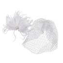 Vintage Women's White Birdcage Veil with Feather Fascinator Wedding/Tea Party/Church