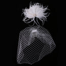Vintage Women's White Birdcage Veil with Feather Fascinator Wedding/Tea Party/Church