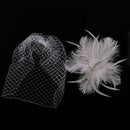 Vintage White Feather Fascinator Hair Clip Wedding Church Birdcage Face Veil Headpiece Women's Party Headwear