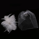 Vintage White Feather Fascinator Hair Clip Wedding Church Birdcage Face Veil Headpiece Women's Party Headwear