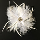 Vintage White Feather Fascinator Hair Clip Wedding Church Birdcage Face Veil Headpiece Women's Party Headwear