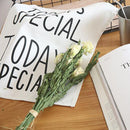 TODAY'S SPECIAL Cotton Durable Table Mats Placemat Backdrop Home Decor White