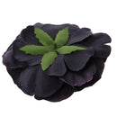 Artificial DIY Fabric Flower Black Peony Daisy Crafts Wedding Headband Straw Hat