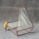 Clear Glass Geometric Terrarium Tabletop Succulent Plant Fern 15x13x15.5cm