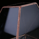 Clear Glass Geometric Terrarium Tabletop Succulent Plant Fern 15x13x15.5cm