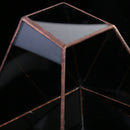 Clear Glass Geometric Terrarium Tabletop Succulent Plant Fern 15x13x15.5cm