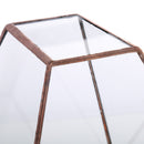 Clear Glass Geometric Terrarium Tabletop Succulent Plant Fern 15x13x15.5cm