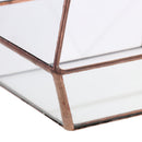Clear Glass Geometric Terrarium Tabletop Succulent Plant Fern 15x13x15.5cm