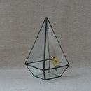 Glass Geometric Terrarium Pyramid Tabletop Vase Wedding Engagement Table Decor Black