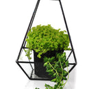 Glass Geometric Terrarium Pyramid Tabletop Vase Wedding Engagement Table Decor Black