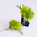 Artificial Plant Bridesmaid Flower Corsages Best Man Boutonniere