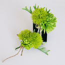 Artificial Plant Bridesmaid Flower Corsages Best Man Boutonniere
