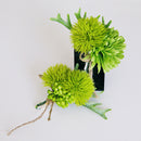 Artificial Succulent Corsage Boutonniere Pin Brooch for Green Party Prom