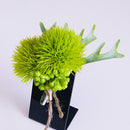 Artificial Succulent Corsage Boutonniere Pin Brooch for Green Party Prom
