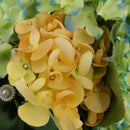 Glamorous Small Orchid Holding Bouquet for Bridesmaid Wedding Photo Props Home Party Table Decoration
