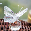 Clear Crystal Butterfly with Crystal Ball Wedding Baby Shower Gift Favor