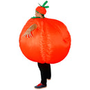 Funny Inflatable Pumpkin Costume Halloween Party Mascot Cosplay Fancy Dress