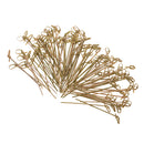 Pack of 100 Bamboo Knot Wedding Christmas Cocktail Party Appetizer Picks 12cm